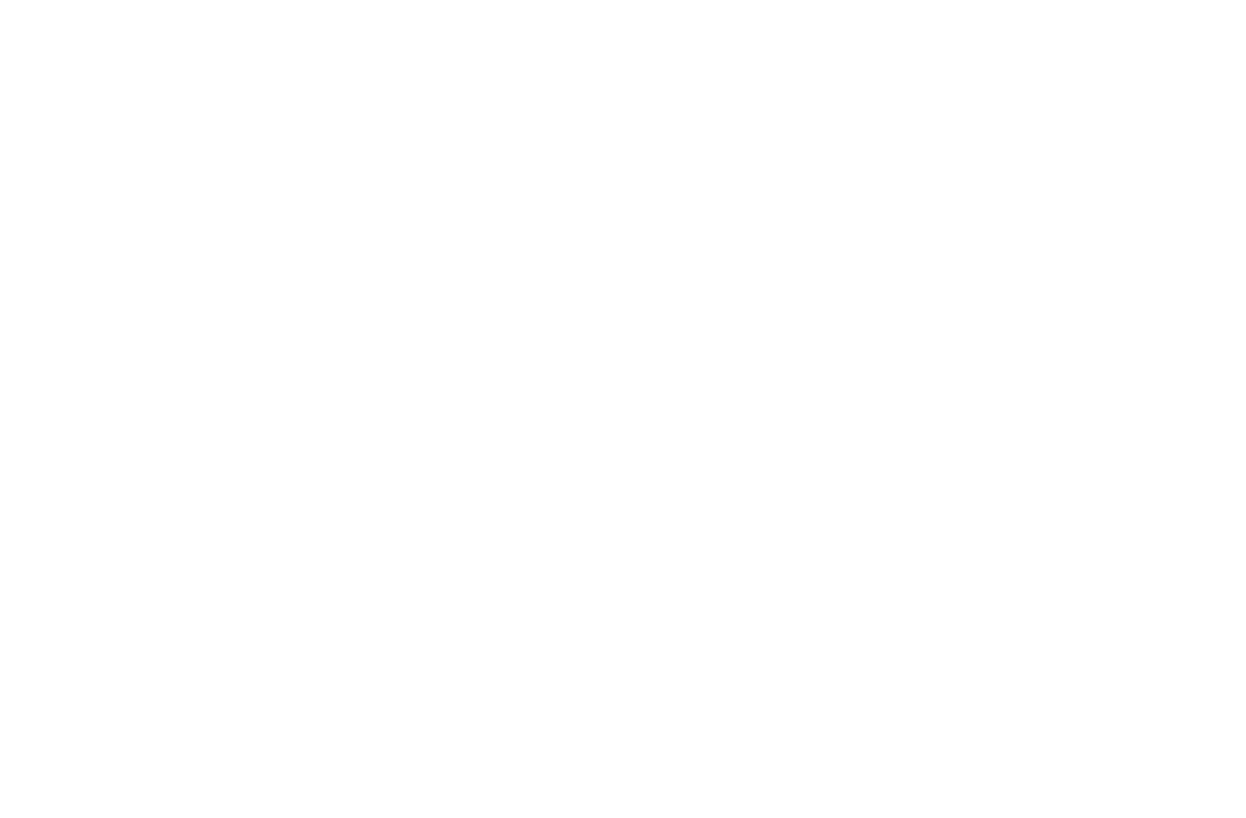 logobranco2
